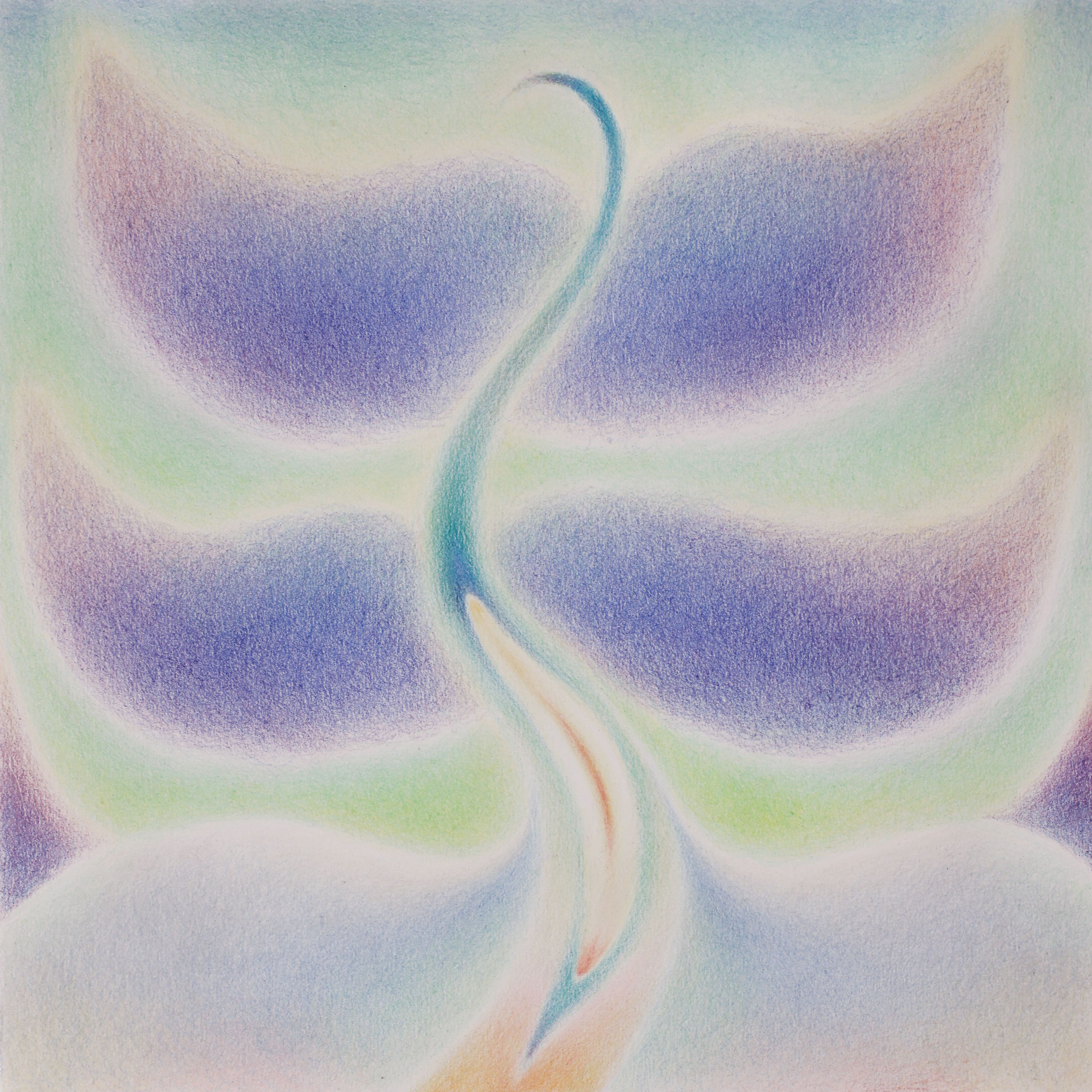 Every Flower that Opens Its Sweet Eye I, Color pencil on paper mount on board, 2023