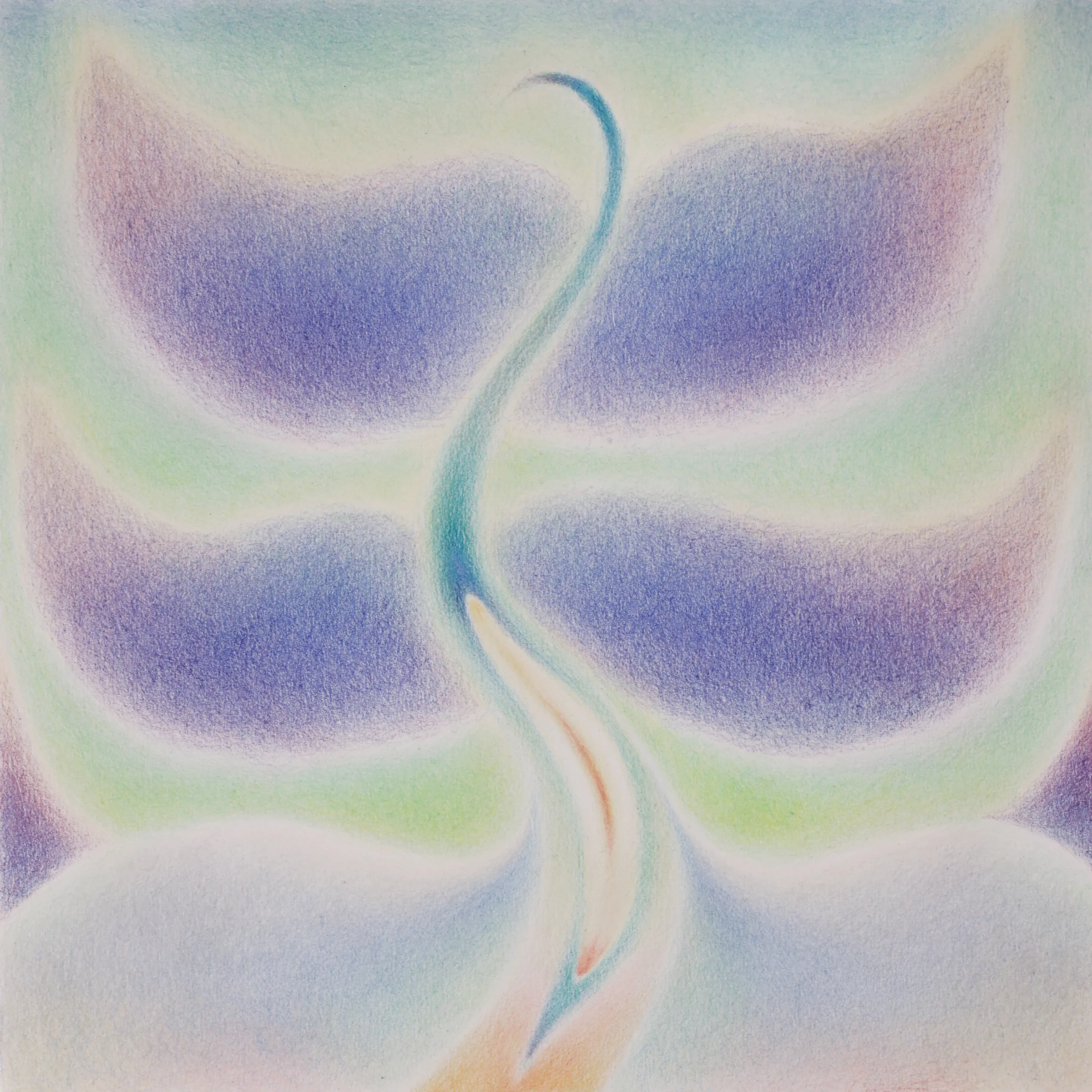 Every Flower that Opens Its Sweet Eye I, Color pencil on paper mount on board, 2023