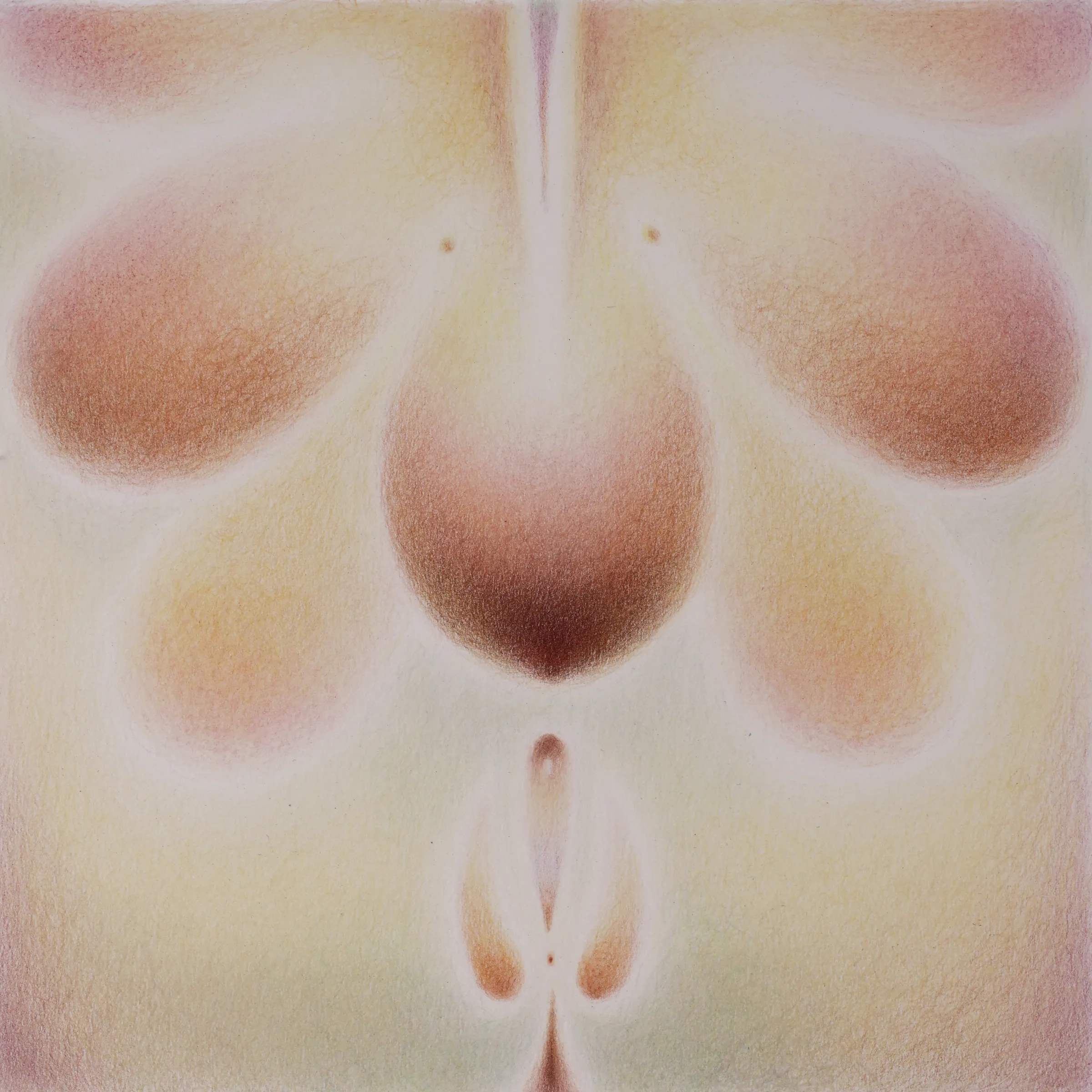 View next work: Every Flower that Opens Its Sweet Eye IV