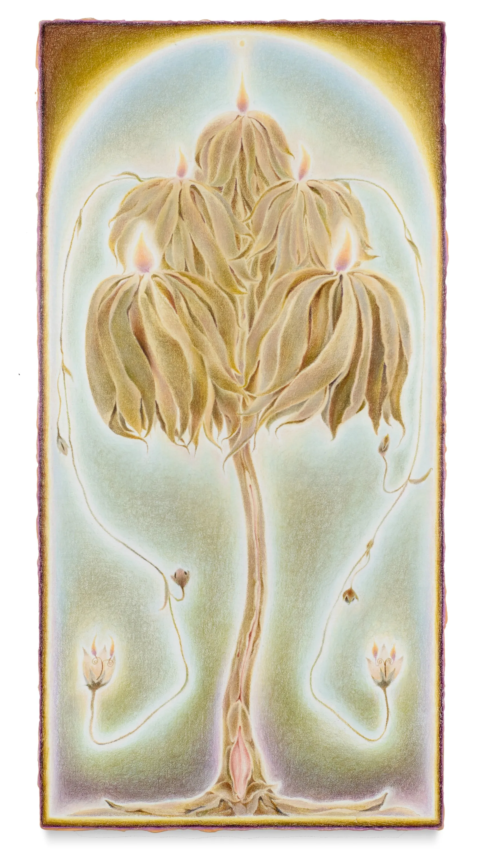 View next work: Honey Drudger I