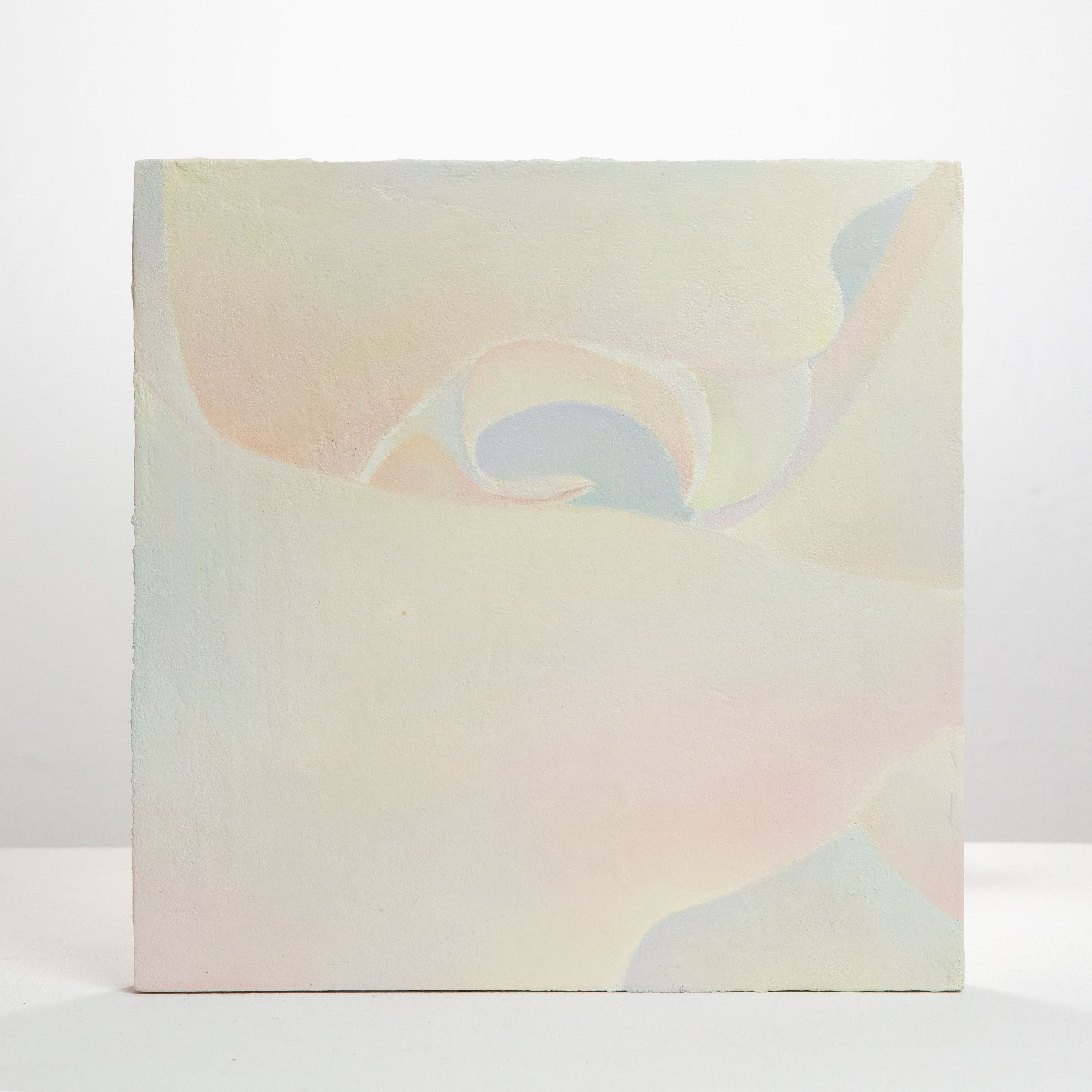 Skin 1, Oil on board, 2020