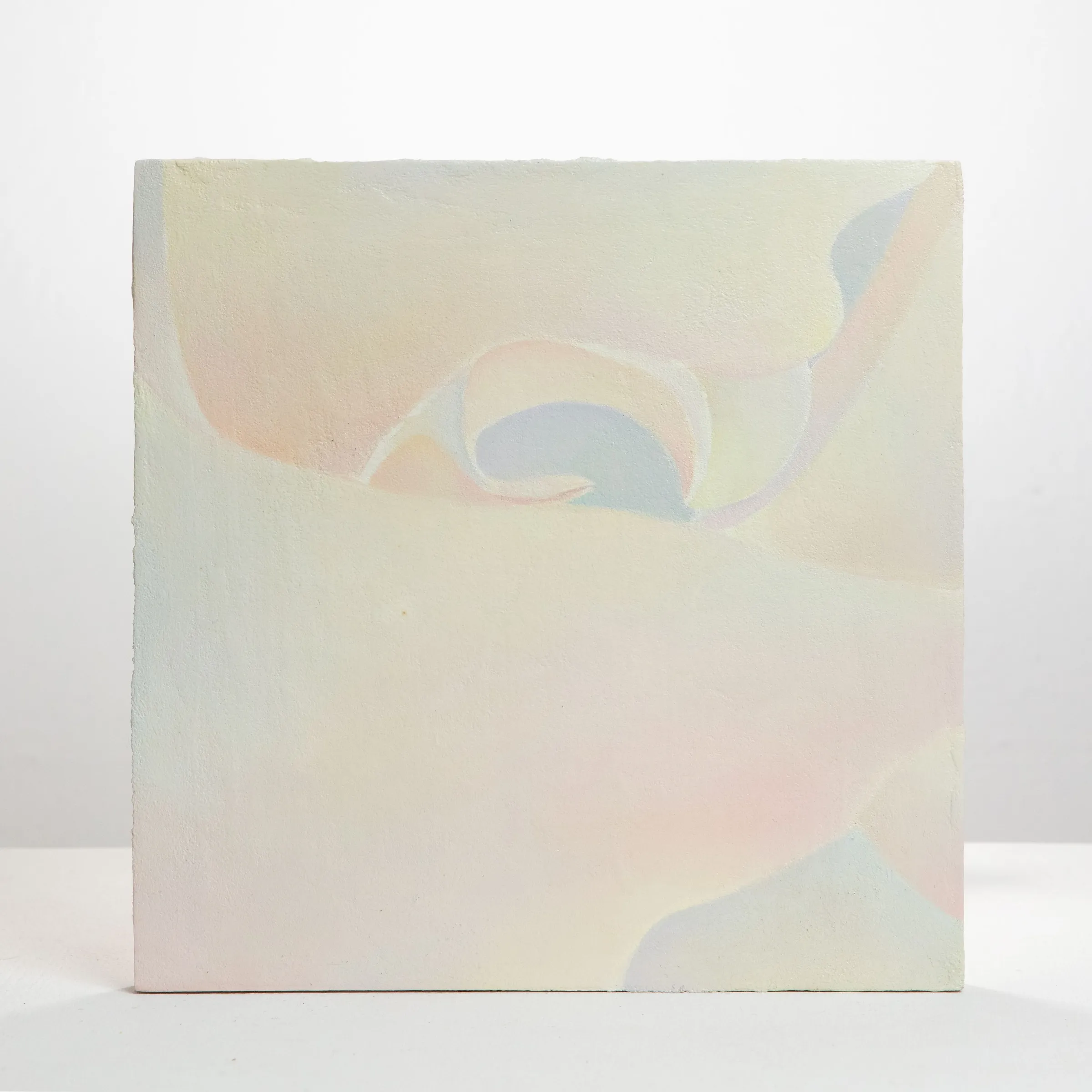 Skin 1, Oil on board, 2020