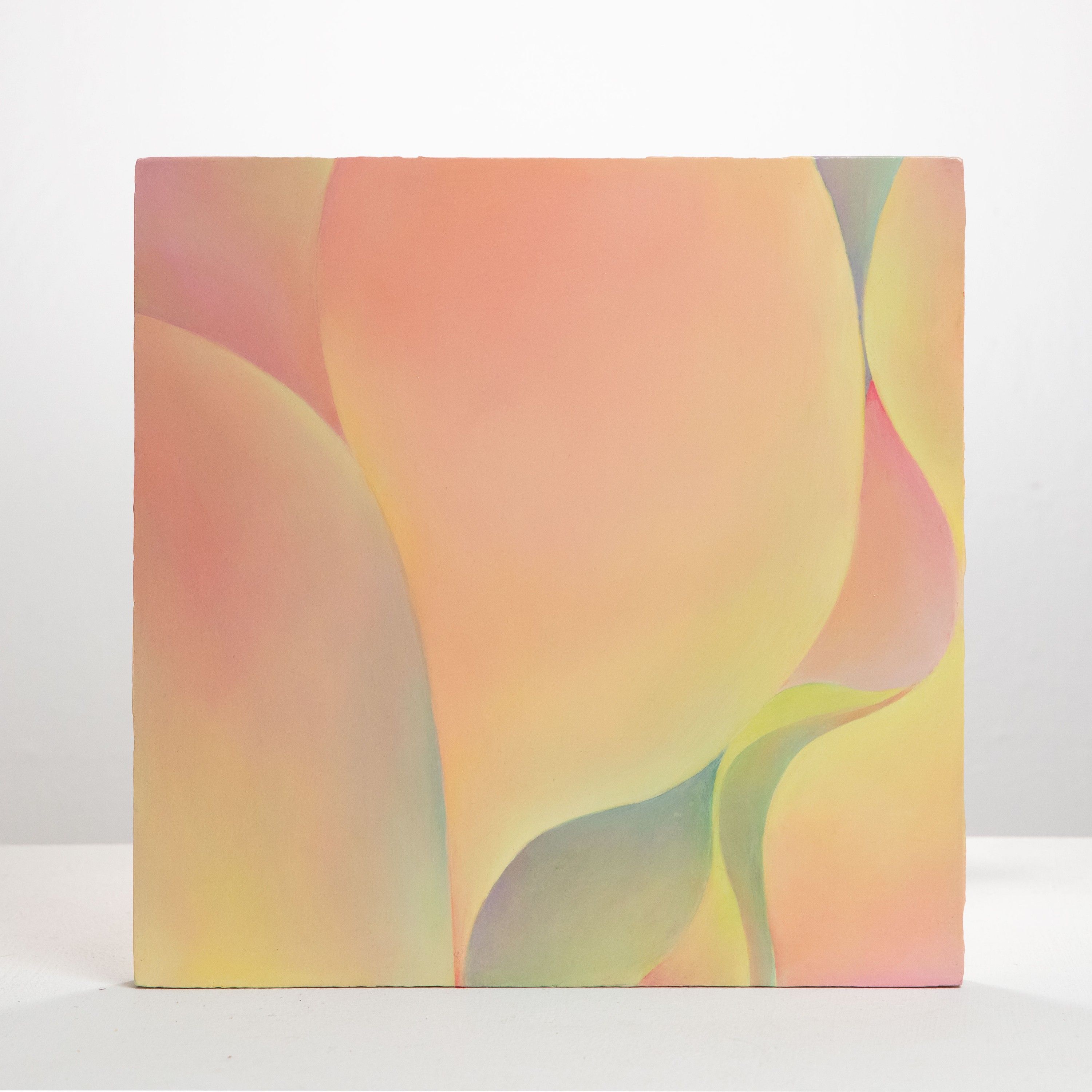 Skin 5, Oil on board, 2020
