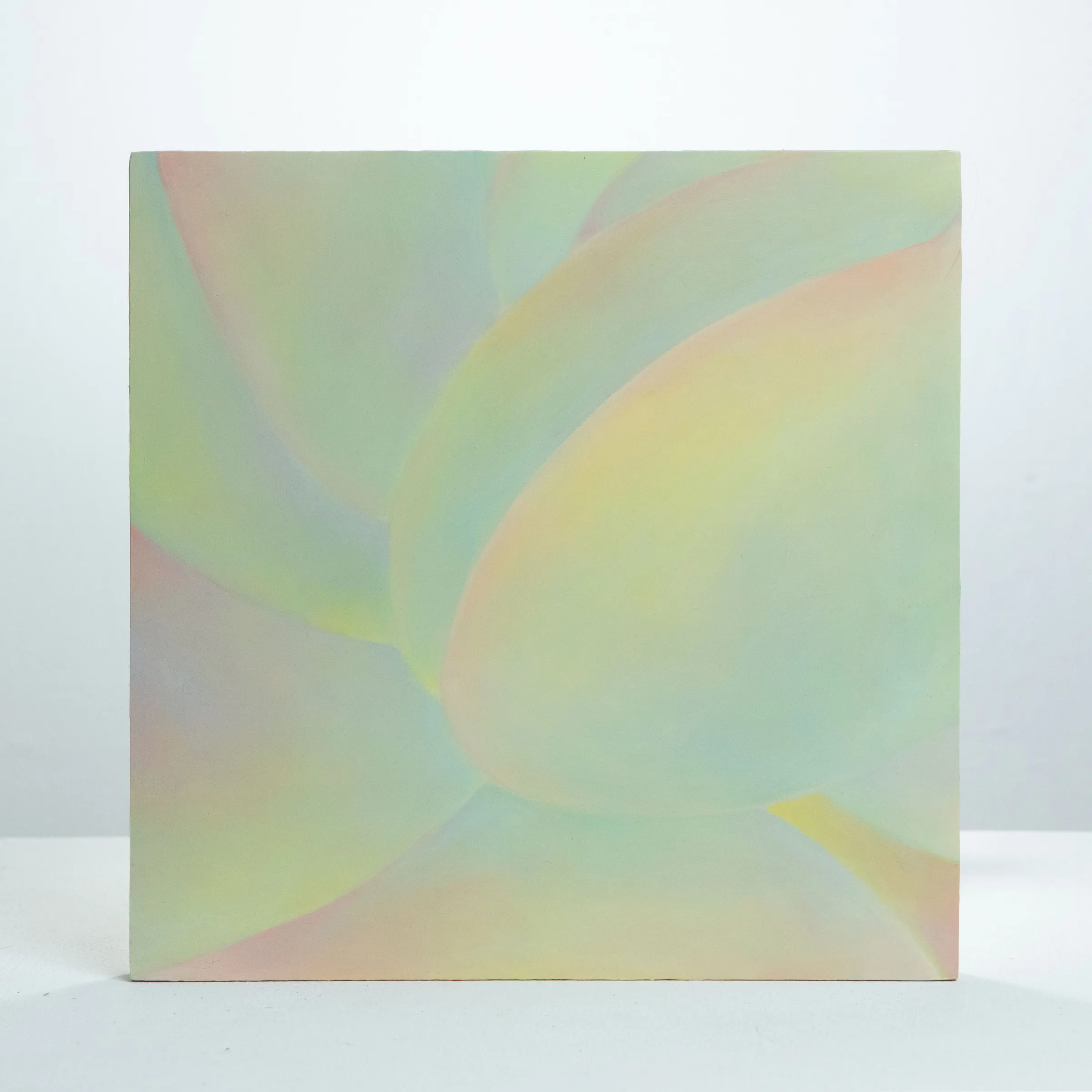 View next work: Skin 8