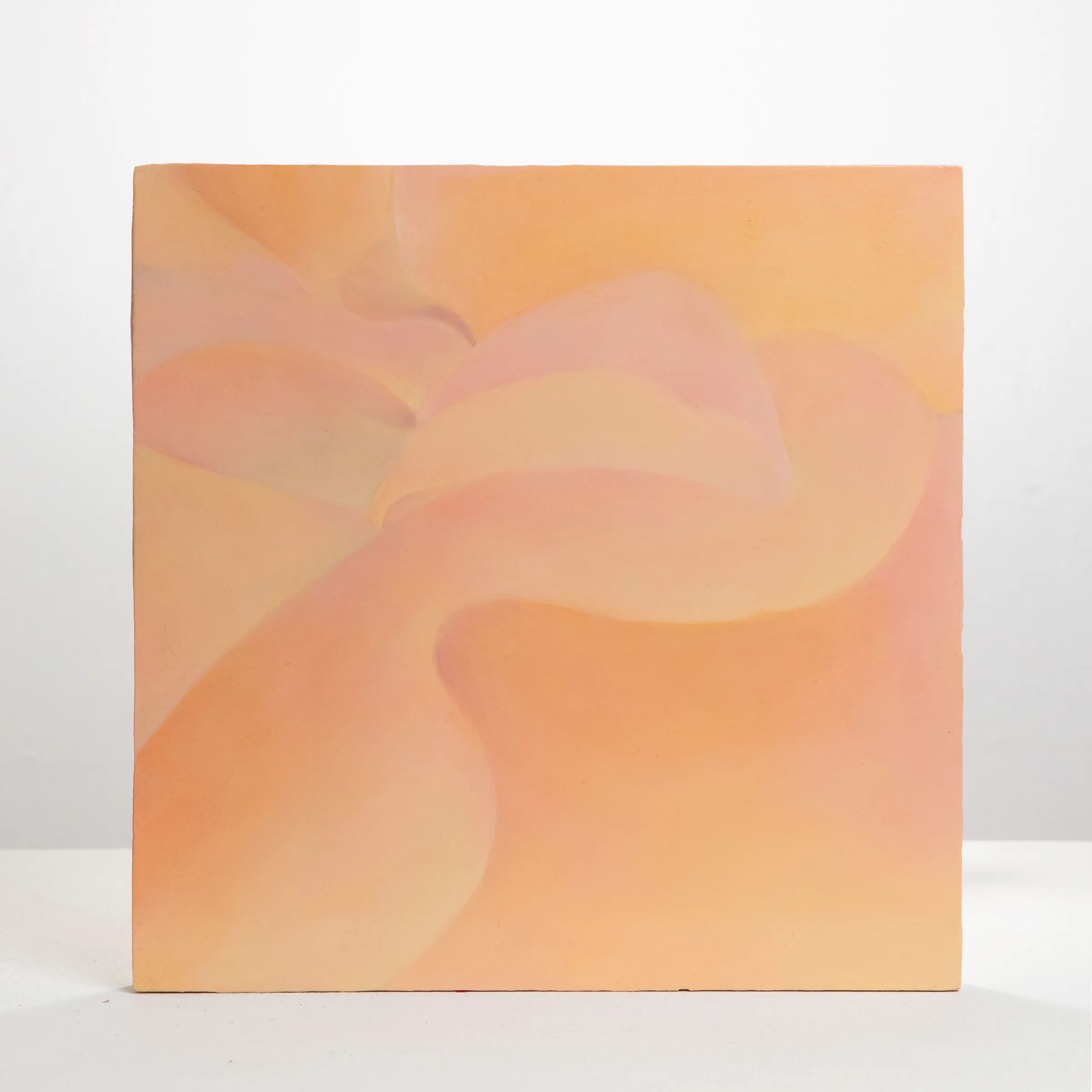View next work: Skin 9